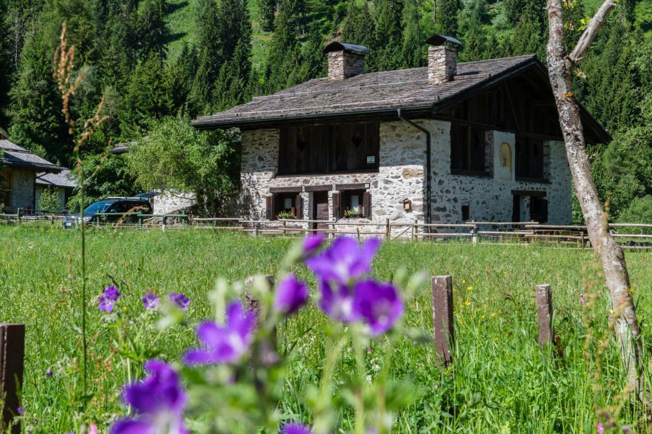 Baita Tomaselli Pellizzano Exterior foto